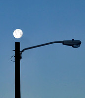 Moon landing on top of light pole.